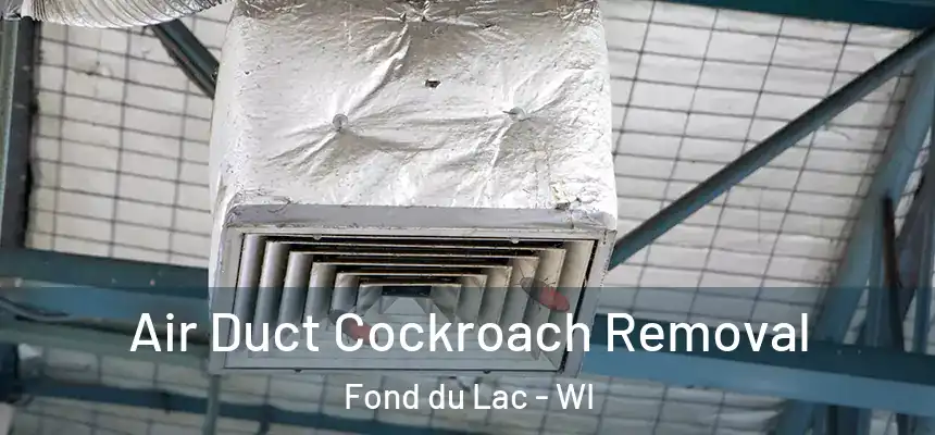  Air Duct Cockroach Removal Fond du Lac - WI