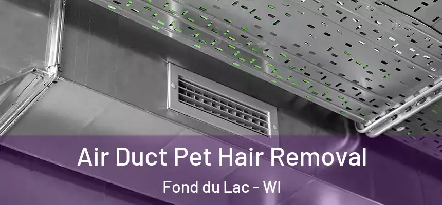 Air Duct Pet Hair Removal Fond du Lac - WI