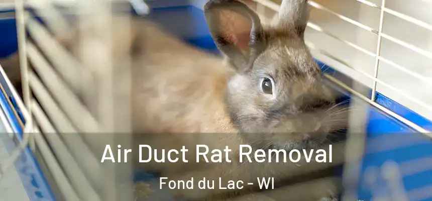 Air Duct Rat Removal Fond du Lac - WI