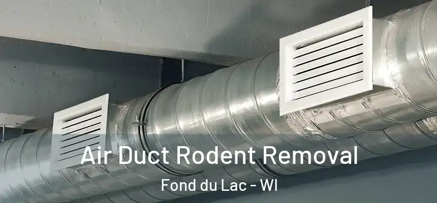 Air Duct Rodent Removal Fond du Lac - WI