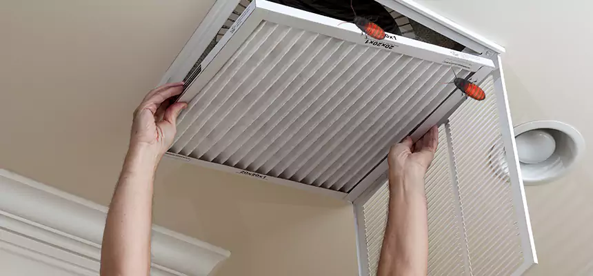 Preventive Cockroach-Proofing for Ducts in Fond du Lac