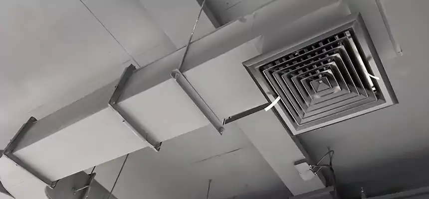 Restorative Allergy Relief Vent Cleaning – Coil, Blower & Housing Detail in Fond du Lac