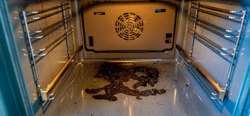 Our Dryer Vent Mold Cleaning Services in Fond du Lac, WI