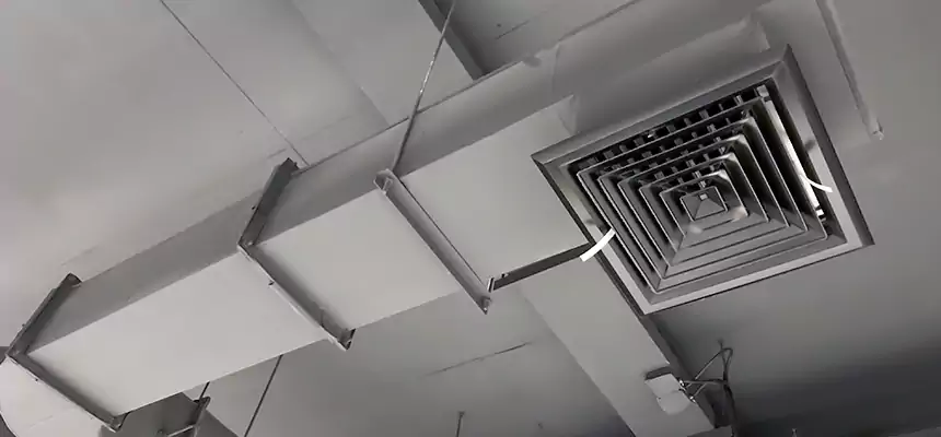 Our Pest Removal From Ducts Services in Fond du Lac, WI