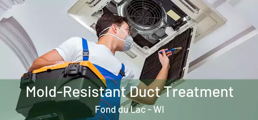 Mold-Resistant Duct Treatment Fond du Lac - WI