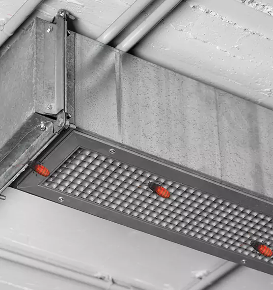 Affordable Insect Removal from Air Ducts in Fond du Lac, WI