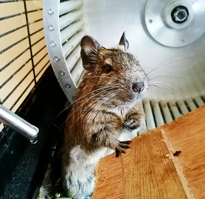 Why Homeowners & Businesses Trust Us Fond du Lac, WI